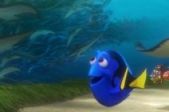 Meklējot Doriju (Finding Dory) (3D) (RU)