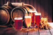 Latvian Beer Tour & Tasting